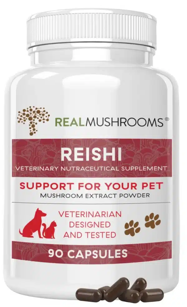 Real Mushrooms Reishi (90ct)