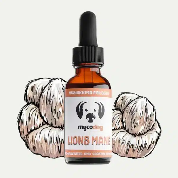 MycoDog Lion's Mane Mushroom Extract