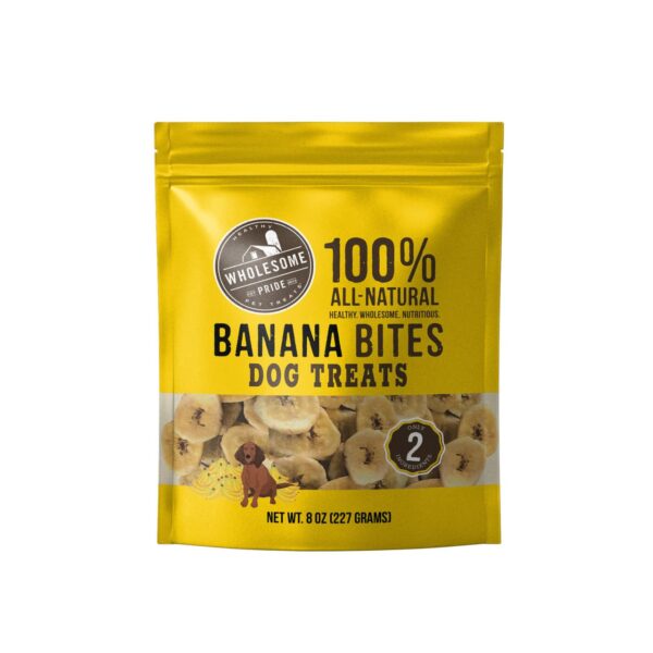 Wholesome Pride Banana Chips