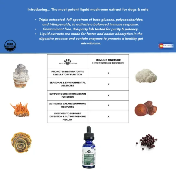 Earth Buddy Allergy & Immune Support CBD Oil - Image 2